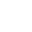 🌐