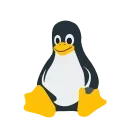 🖥